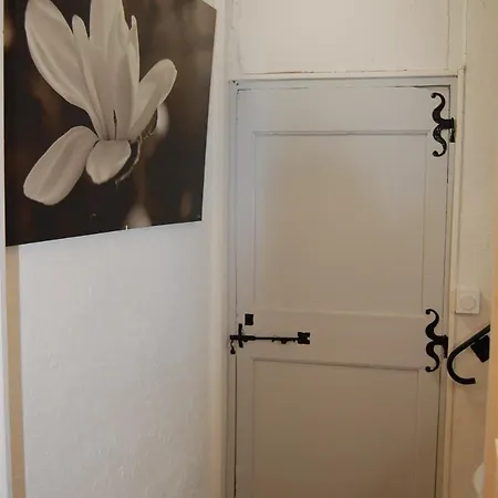 Vigneronne Appartement *